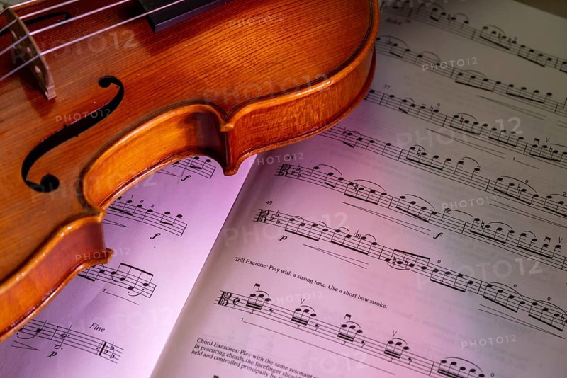 Detailed view of a violin with scroll and pegbox in front of sheet music, studio photograph, Germany, Europe