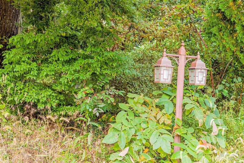 Lamppost with two lights in wilderness area with green bushes in background