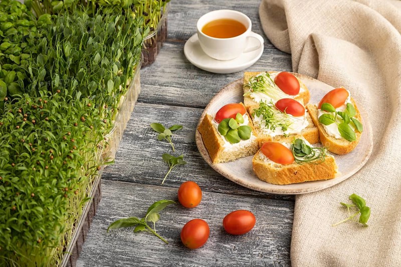 White bread sandwiches with cream cheese, tomatoes and microgreen on gray wooden background and linen textile. side view, close up