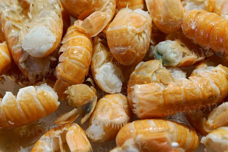 Scampi, seafood, Campo de la Pescaria fish market, Rialto market, San Polo neighbourhood, Venice, Veneto, Italy, Europe