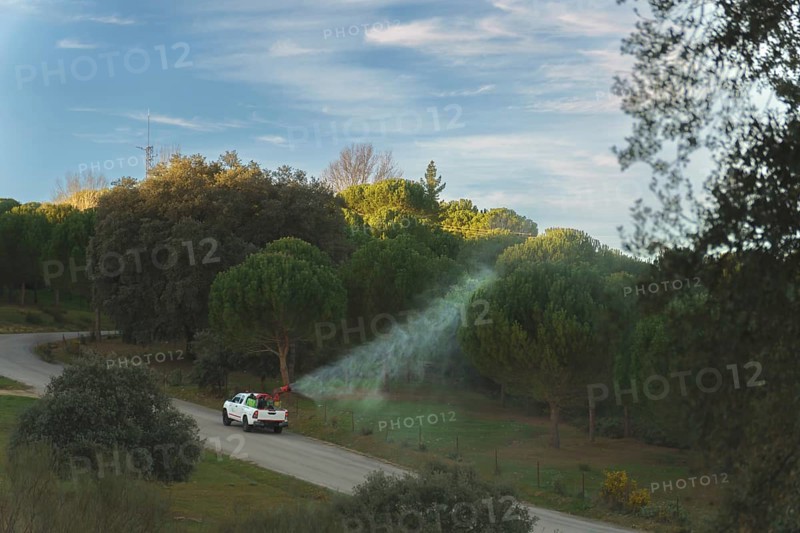 A vehicle sprays a pine forest against the processionary caterpillar pest, which is poisonous for dogs