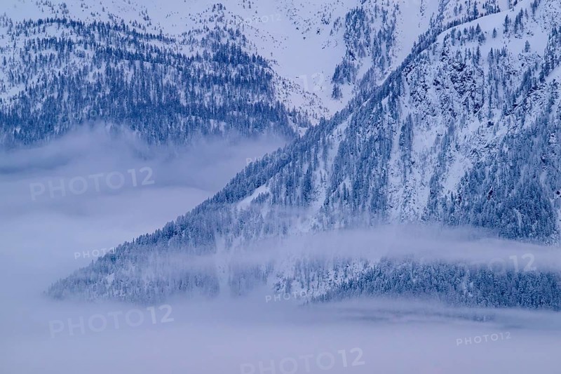Snow-covered mountains with wafts of mist between the treetops, Belalp, Naters, Brig, Canton Valais, Switzerland, Europe