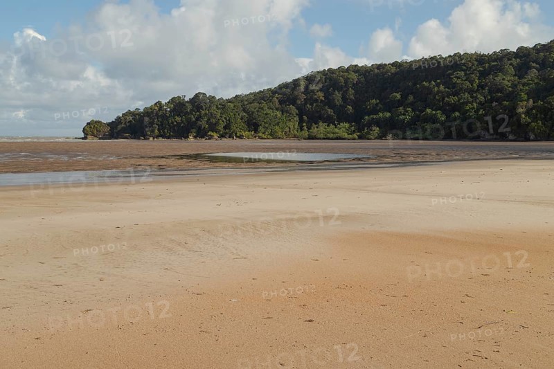 Bako national park, sea sandy beach, sunny day, blue sky and sea. Vacation, travel, tropics concept, no people, Malaysia, Kuching, Asia