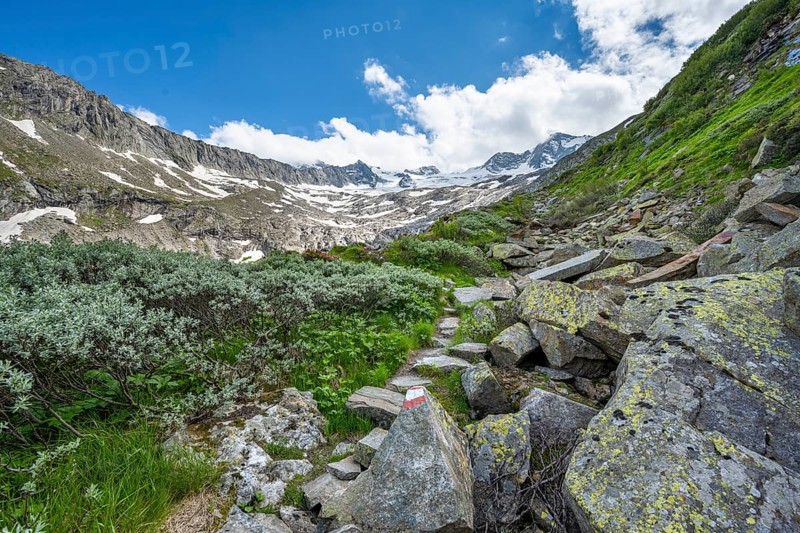 Hiking trail in a picturesque mountain landscape, rocky mountain peaks with snow, Waxeggkees glacier behind, Berliner Hoehenweg, Zillertal Alps, Tyrol, Austria, Europe