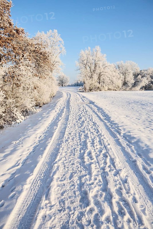 Snow-covered path in a winter landscape near Polling an der Ammer. Polling, Paffenwinkel, Upper Bavaria, Germany, Europe
