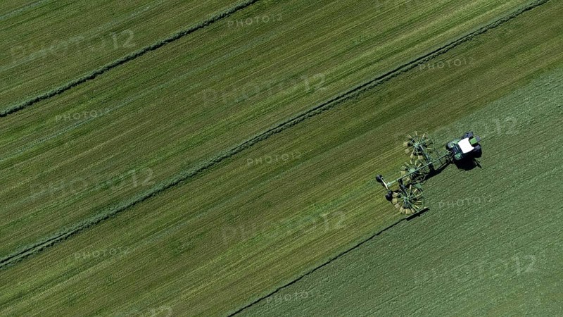 Farmer cutting grass to straight rows with tractor and large roundabout rake, drone shot, Upper Bavaria, Bavaria, Germany, Europe