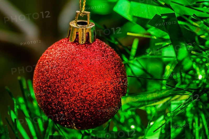 Closeup of red Christmas ornament and green tensile garland on pine tree in South Korea