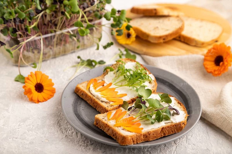 White bread sandwiches with cream cheese, calendula petals and microgreen radish and tagetes on gray concrete background and linen textile. side view, selective focus