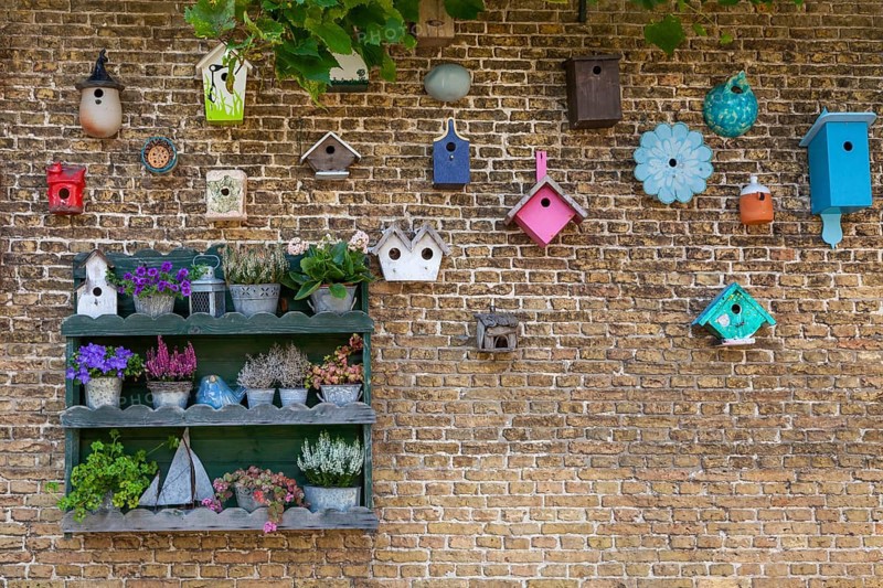 Flower shelf and birdhouse on a house wall, De Waal, Texel, North Holland, Netherlands