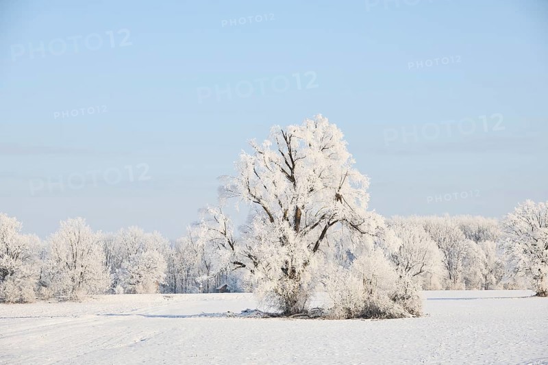 Snowy winter landscape near Polling an der Ammer. Polling, Paffenwinkel, Upper Bavaria, Germany, Europe