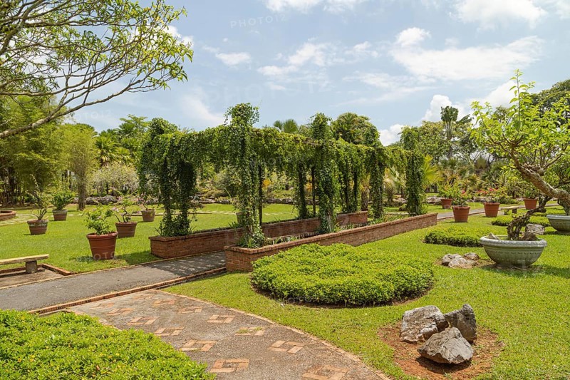 Palm collection in city park in Kuching, Malaysia, tropical garden with large trees and lawns, gardening, landscape design, stone composition, rockery. Daytime with cloudy blue sky, Asia