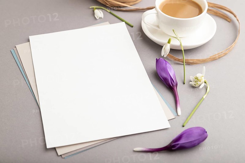 White paper sheet mockup with spring snowdrop crocus and galanthus flowers and cup of coffee on gray background. Blank, business card, side view, copy space, still life. spring concept