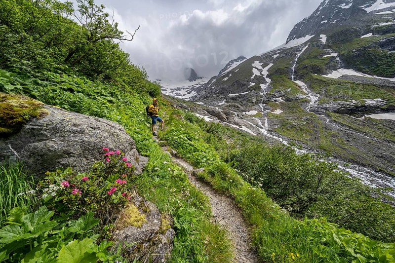 Mountaineer on a hiking trail, green mountain valley Floitengrund with mountain stream Floitenbach, Berliner Hoehenweg, Zillertal Alps, Tyrol, Austria, Europe