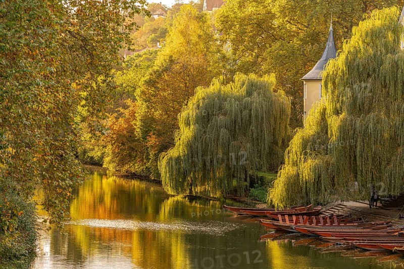 FHoelderlinturm in Tuebingen on the Neckar, golden autumn in the sunshine
