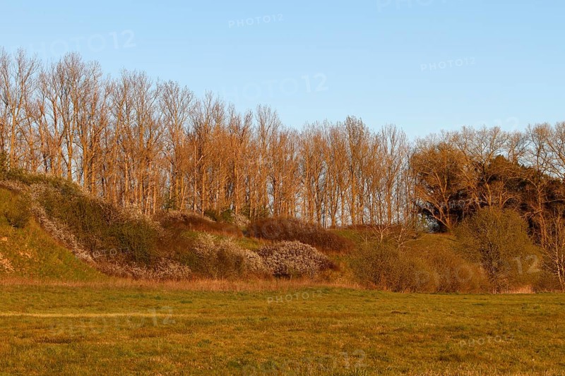 Ice Age terrain formations on the River Trebel, landscape characterised by the Ice Age, Flusslandschaft Peenetal nature park Park, Mecklenburg-Western Pomerania, Germany, Europe