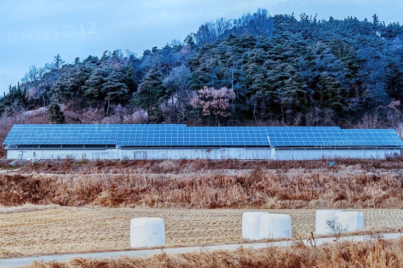 Large array of solar panels setup in countryside in front of hillside covered in lush foliage under blue sky