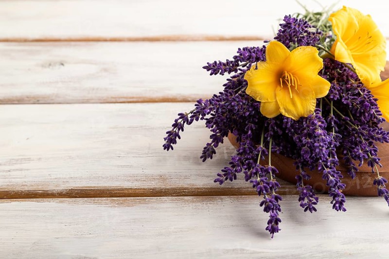 Beautiful day lily and lavender flowers on white wooden background, side view, copy space