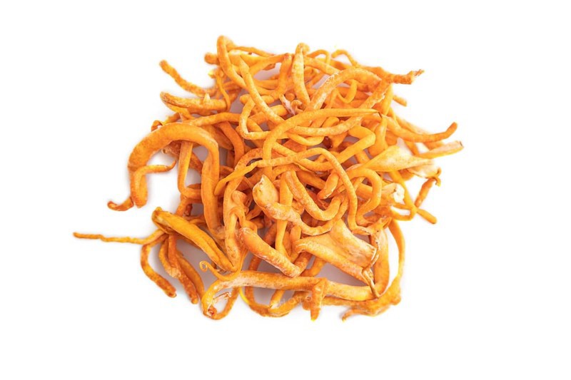 Fresh Cordyceps militaris mushrooms isolated on white background. Top view, flat lay, copy space