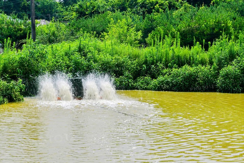 Paddle-wheels being used to aerate rural pond with green foliage on shoreline