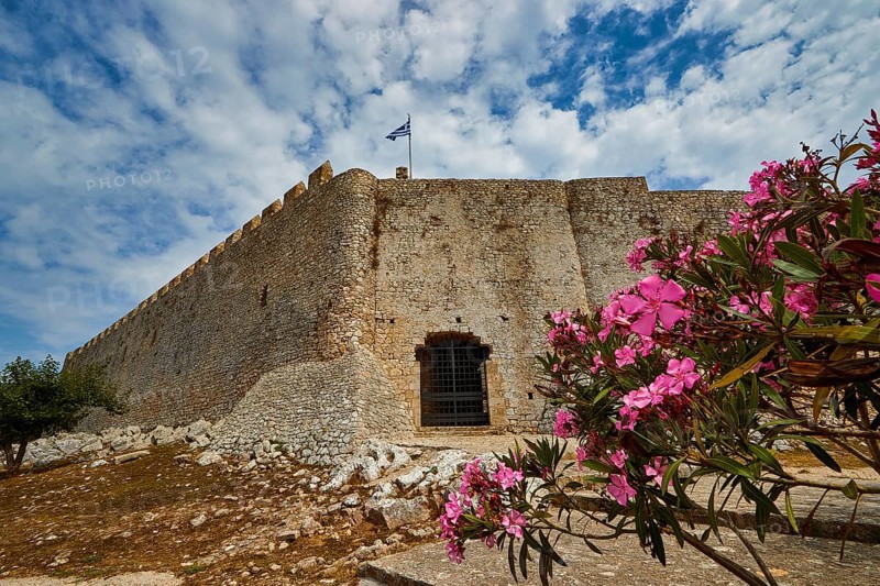 Stone fortress wall with blooming oleander in the foreground, Chlemoutsi, high medieval crusader castle, Kyllini peninsula, Peloponnese, Greece, Europe