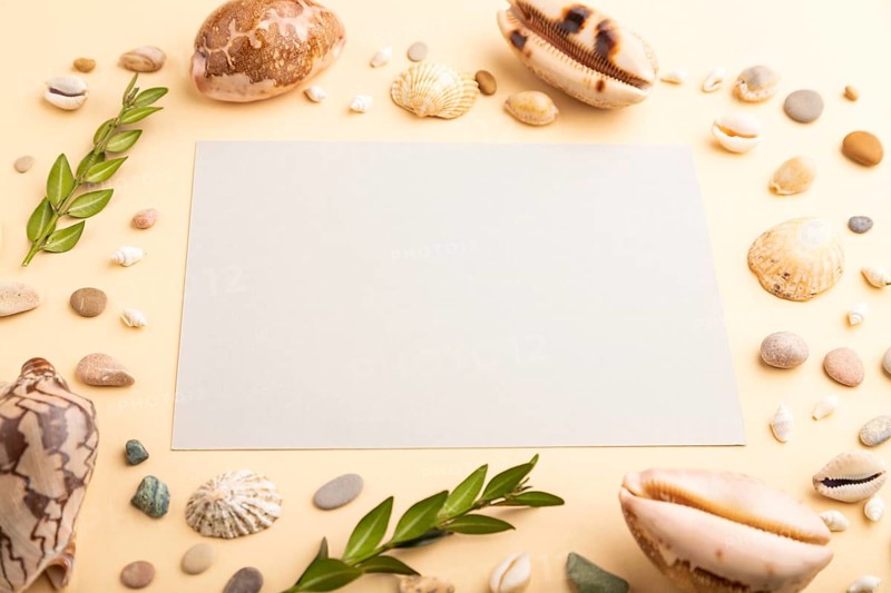 Composition with gray paper sheet, seashells, pebbles, green boxwood. mockup on orange background. Blank, side view, still life, copy space. travel concept