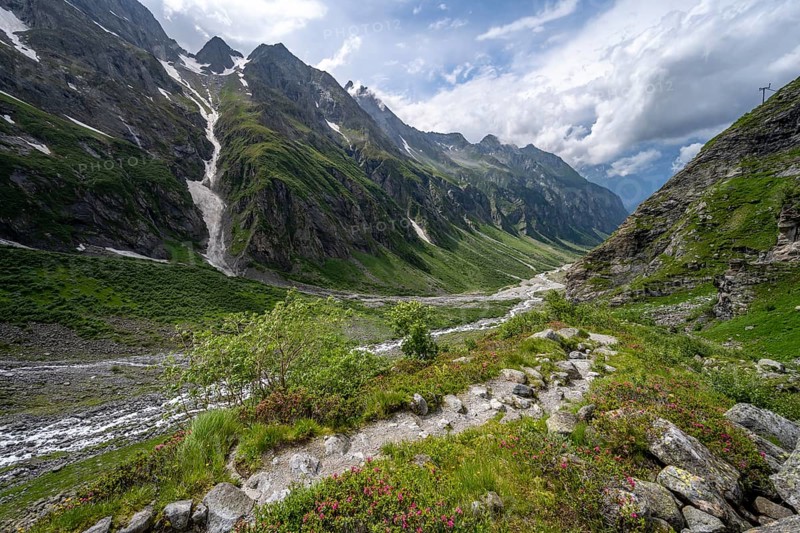 Hiking trail to Greizer Huette, green Floitengrund mountain valley with Floitenbach mountain stream, Berliner Hoehenweg, Zillertal Alps, Tyrol, Austria, Europe