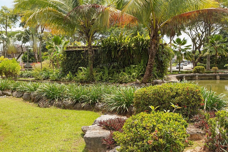 Palm collection in city park in Kuching, Malaysia, tropical garden with large trees and lawns, gardening, landscape design, stone composition, rockery. Daytime with cloudy blue sky, Asia