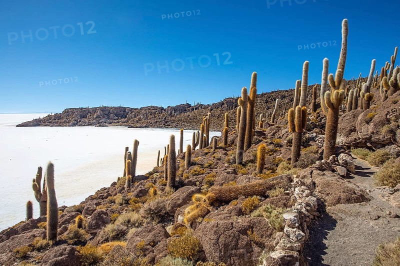 Salar de Uyuni Bolivia Incahuasi Island