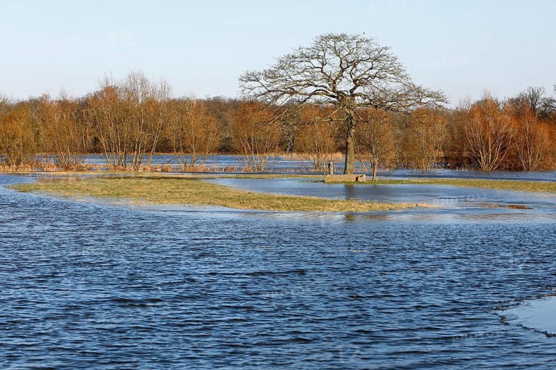 Winter floods 2024 on the Elbe and Mulde rivers with flooding of the meadows, ice on the meadows due to flooding in winter, high-pressure weather in winter, Middle Elbe Biosphere Reserve, Dessau-Rosslau, Saxony-Anhalt, Germany, Europe