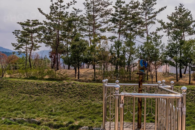 Old hand crank used to open small flood gate in public park with grove of evergreen trees in background
