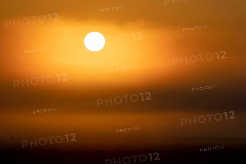 Sunrise in the fog, Federsee lake
