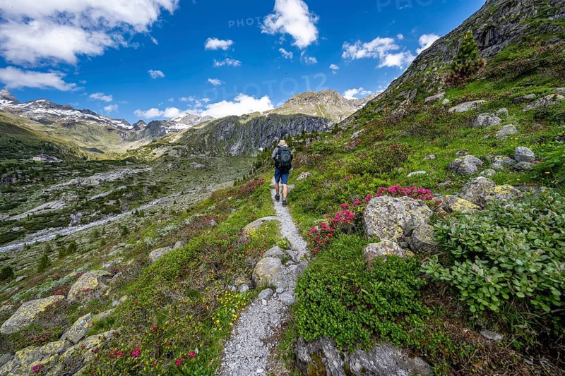Mountaineers on a hiking trail in front of a picturesque mountain landscape, rocky mountain peaks with snow, valley Zemmgrund with Zemmbach, Berliner Hoehenweg, Zillertal Alps, Tyrol, Austria, Europe