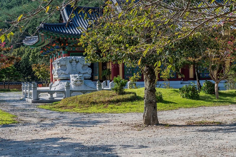 Rock carved dragons atop turtle in front of temple building at temple in Gimje-si, South Korea, Asia