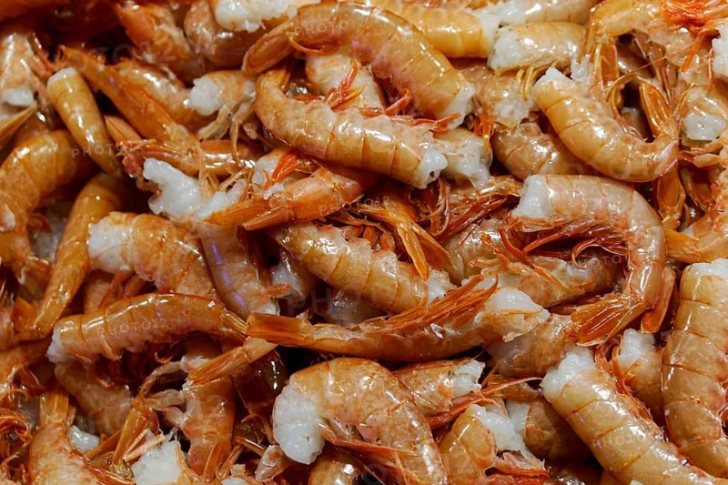 Scampi, seafood, Campo de la Pescaria fish market, Rialto market, San Polo neighbourhood, Venice, Veneto, Italy, Europe