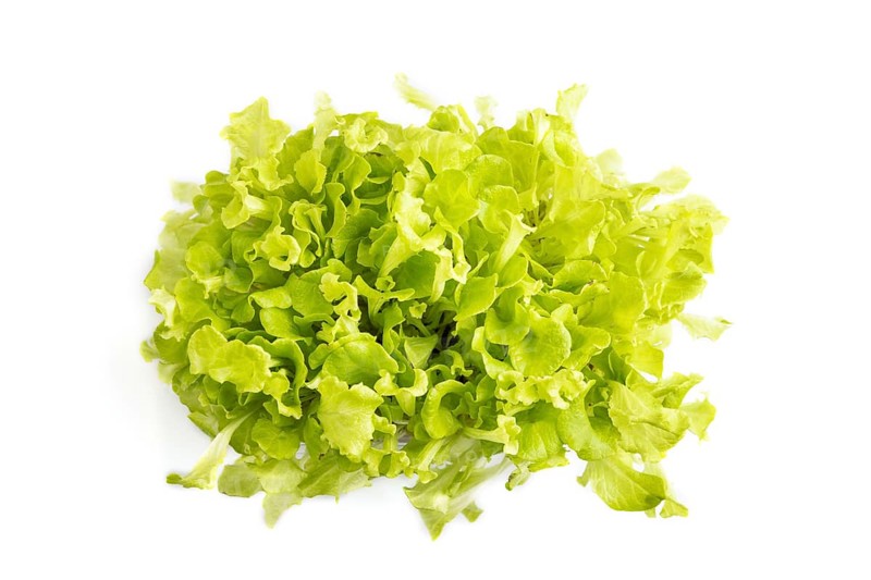 Plastic box with microgreen sprouts of green lettuce isolated on white background. Top view, flat lay, close up