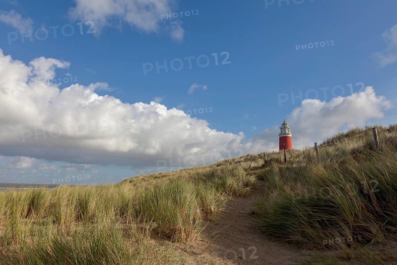 Lighthouse Eierland with dunes, De Cocksdorp, Texel, West Frisian Islands, North Holland Province, Holland, Netherlands