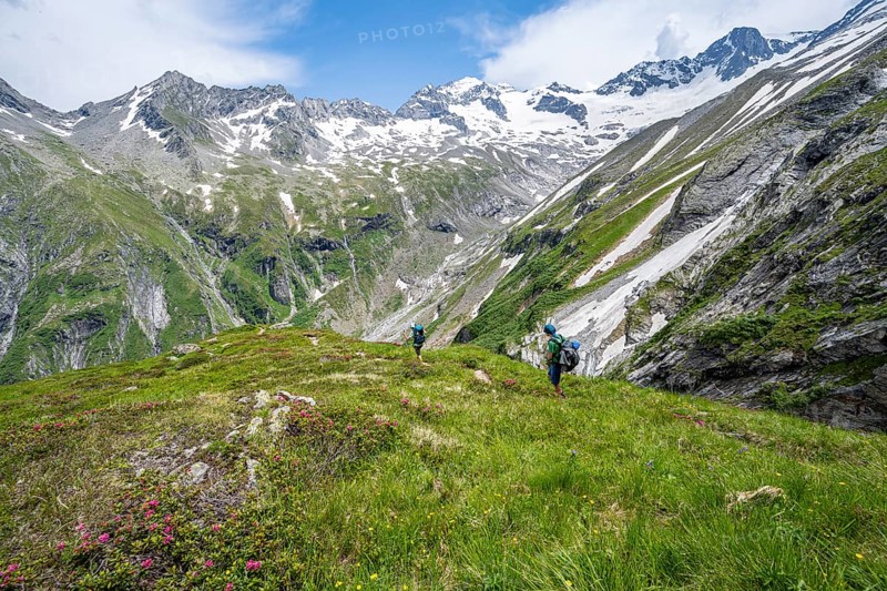 Mountaineer on hiking trail in picturesque mountain landscape, in the background mountain peak Grosser Loeffler and Oestliche Floitenspitze with glacier Floitenkees, valley Floitengrund, Berliner Hoehenweg, Zillertal Alps, Tyrol, Austria, Europe