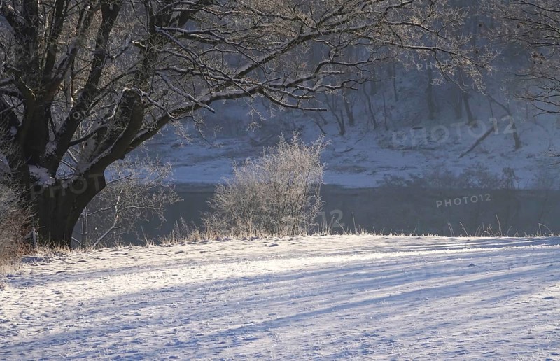 Winter in the Elbe Sandstone Mountains, banks of the Elbe, Saxony, Germany, Europe
