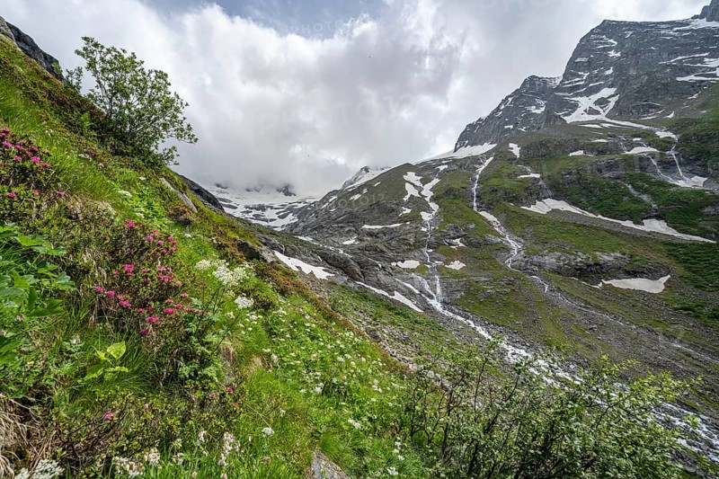 Green mountain valley Floitengrund with mountain stream Floitenbach, ascent to Greizer Huette, Berliner Hoehenweg, Zillertal Alps, Tyrol, Austria, Europe