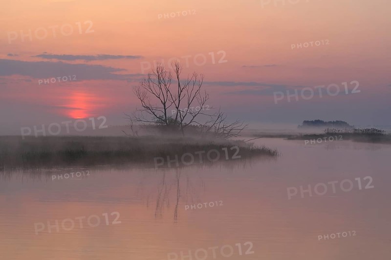 Sunrise Biebrza Poland