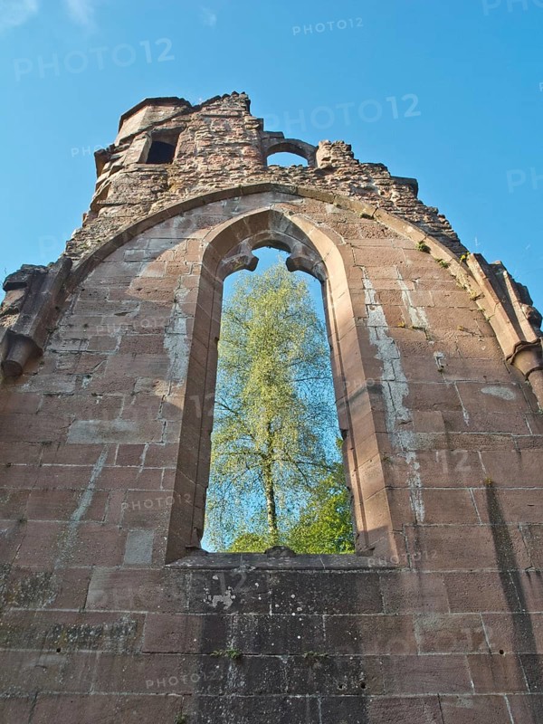 All Saints' Abbey ruins, near Oppenau, close to the Black Forest High Road, Black Forest, Baden-Wuerttemberg, Germany, Europe