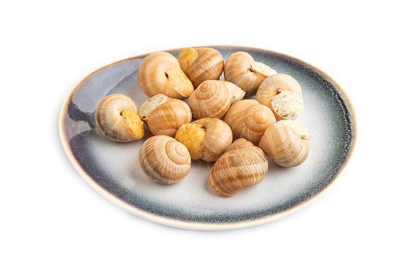 Grape (Burgundy) snails with butter and cheese isolated on white background. Side view