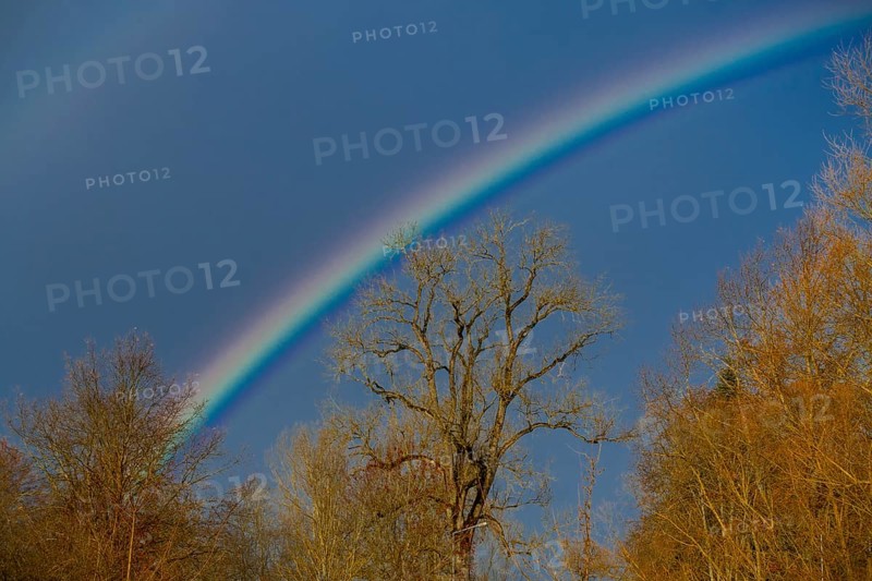 Rainbow at the confluence of the Breg and Brigach rivers to form the Danube, source of the Danube, Donaueschingen, Baden-Wuerttemberg, Germany, Europe