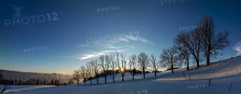 Sun shining through bare trees, snowy winter landscape on the Brunnersberg, Solothurn, Switzerland, Europe