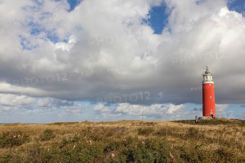 Lighthouse Eierland with dunes, De Cocksdorp, Texel, West Frisian Islands, North Holland Province, Holland, Netherlands