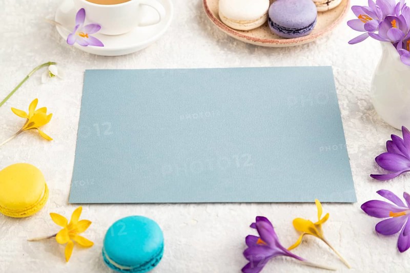 Blue paper sheet mockup with spring snowdrop crocus flowers and multicolored macaroons on gray concrete background. Blank, business card, side view, copy space, still life. spring concept