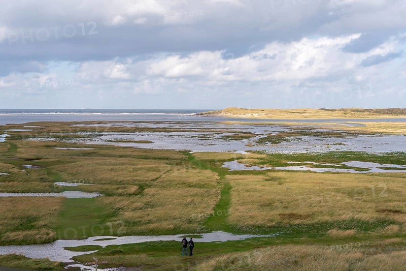 National Park Duinen van Texel, dunes of Texel, North Sea island of Texel, West Frisian island, province of North Holland, Netherlands
