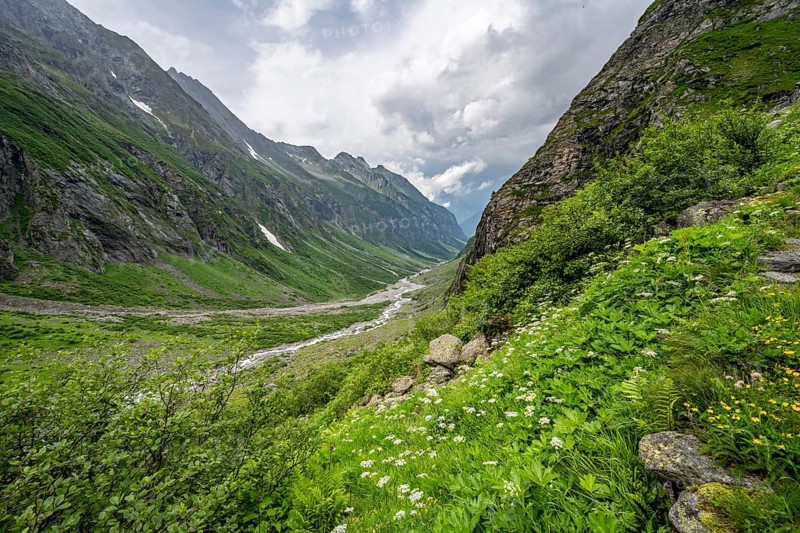 Green mountain valley Floitengrund with mountain stream Floitenbach, Berliner Hoehenweg, Zillertal Alps, Tyrol, Austria, Europe