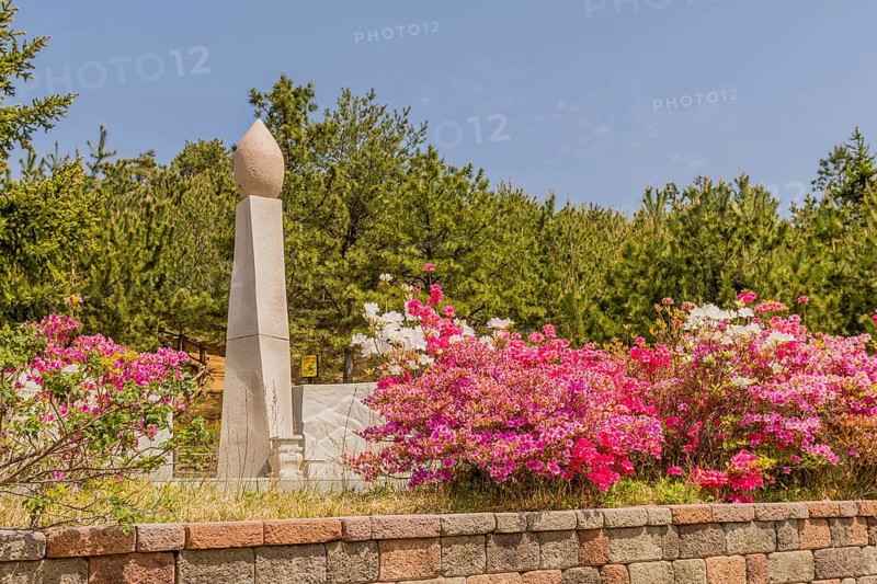 War memorial and flowerbed at nature park at Goseong Unification Observation Tower in Goseong, South Korea, Asia