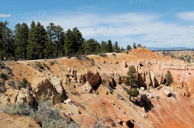 Trails at the canyon rim, Bryce Canyon National Park, Utah, USA, North America